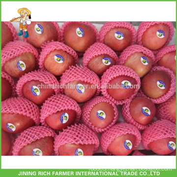 Bulk Chinese Fresh Apple Grade A Red Delicious Fuji Apple